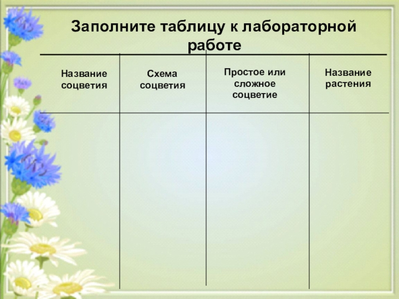 Таблица по биологии название соцветия схема соцветия. Соцветия таблица. Таблица по биологии на тему соцветие. Таблица соцветия биология 6 класс. Таблица соцветия 6 класс.