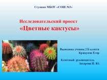 Презентация к исследовательской работе Цветные кактусы (2 класс)