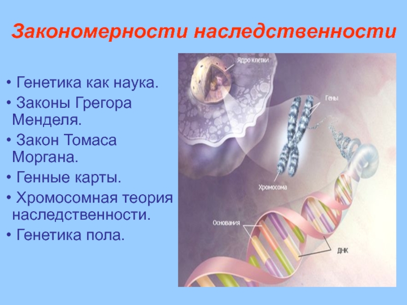 Реферат: Генетика, селекция, евгеника