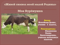 Презентация на конференцию СЛОНЁНОК Моя Бурёнушка /Копейкин Денис, 3 класс/