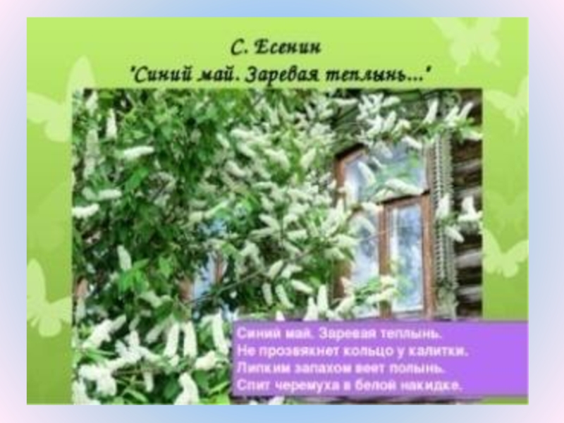 Законом май май. Есенин синий май Заревая теплынь. Сергей Есенин, «синий май. Заревая теплынь…. Заревая теплынь Есенин. Стихотворение синий май Есенин.