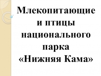 Млекопитающие и птицы национального парка Нижняя Кама