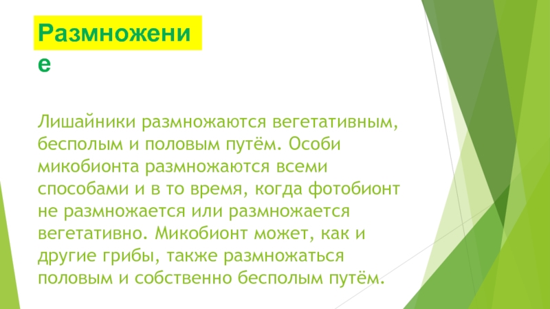 Лишайники размножаются бесполое. К функциям микобионта в лишайнике. Микобионт лишайника функции. Вегетативное размножение лишайников. Фотобионт функции.