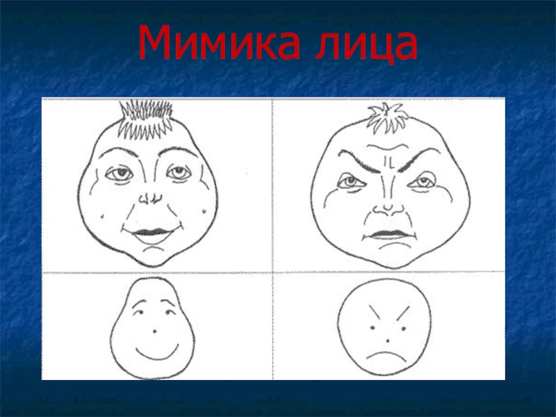 Презентация по мимике лица