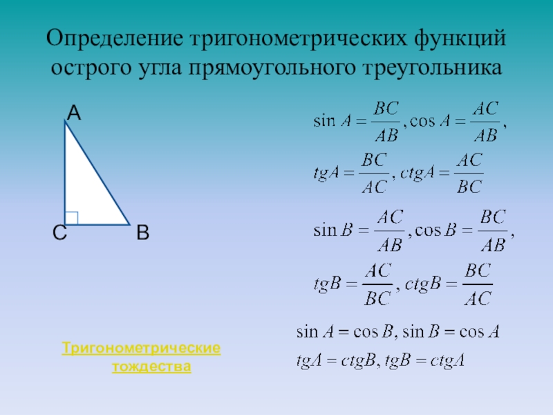 Острый угол b прямоугольного