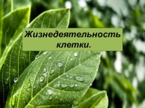 Презентация по биологии на теме жизнедеятельность клетки