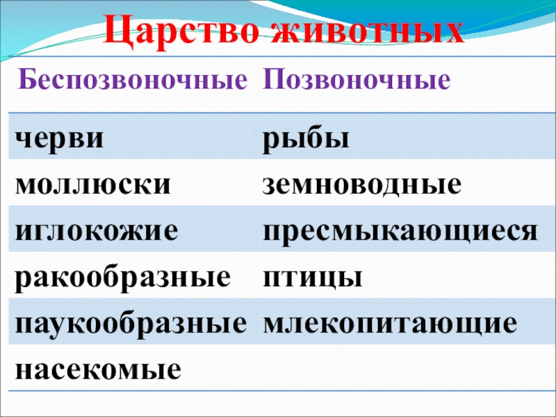 Позвоночные и беспозвоночные животные 3 класс презентация