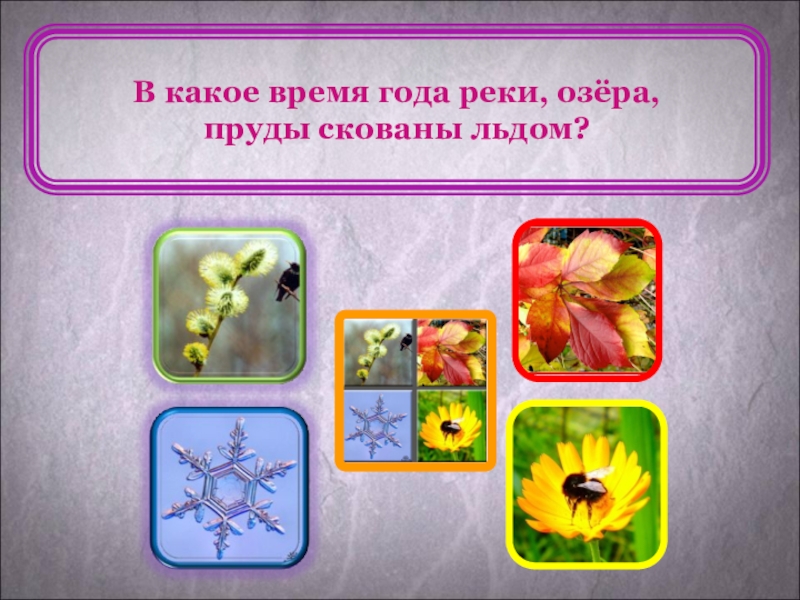 В какое время года происходит действие. В какое время года это бывает. В какое время года бывает туман. Викторина когда это бывает. Викторина времена года.