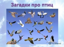 Презентация к занятию по окружающему миру Загадки про птиц