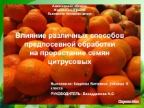 Научный проект по биологии Влияние различных способов предпосевной обработки на прорастание семян цитрусовых Кащеева Виталина 9 класс