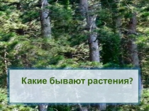 Презентация Какие бывают растения