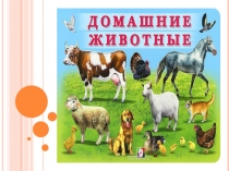 Презентация к уроку развитие речи по теме: Домашние животные. (коррекционная школа)