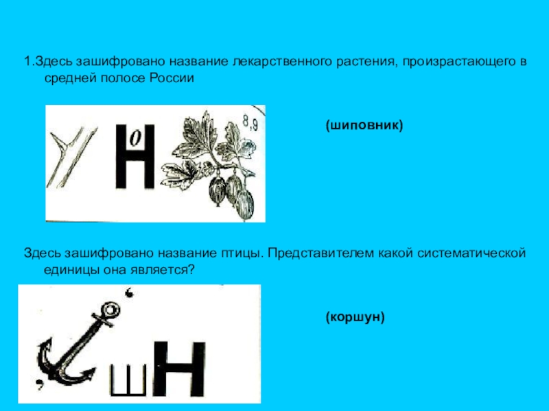 На рисунке зашифровано название важного биологического процесса протекающего в цветке