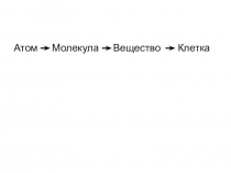 Презентация  Жизнедеятельность клетки