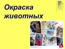 Презентация к занятию биологического кружка Окраска животных