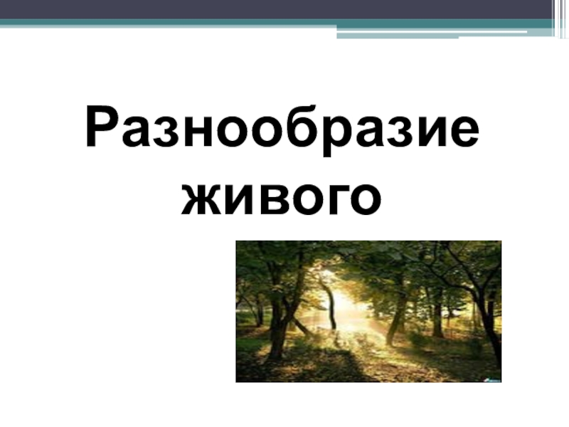 Многообразие живой природы презентация 5 класс