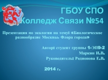 Презентация по биологии Биологическое разнообразие