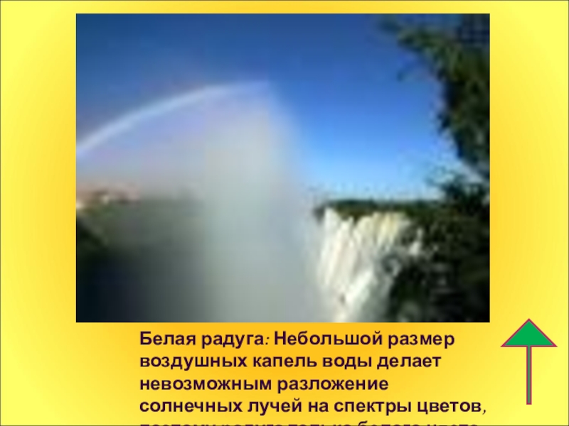 Белая радуга ответить на вопросы. Белая Радуга. Белая Радуга явление. Ассистент белая Радуга. Белая Радуга термин.