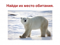 Презентация по биологии 5 класс на тему Жизнь на разных материках.