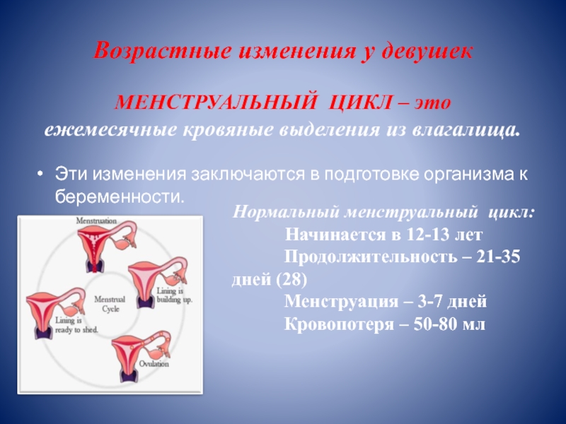 Доклад по теме Менструальный цикл