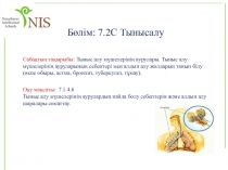 Тыныс алу мүшелерінің аурулары