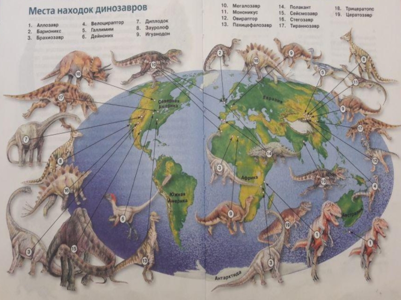 На какой территории жили динозавры. Карта динозавров. Места находок динозавров на карте. Где жили динозавры.