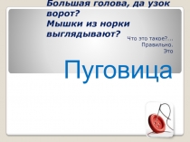 Природа вещей История пуговицы