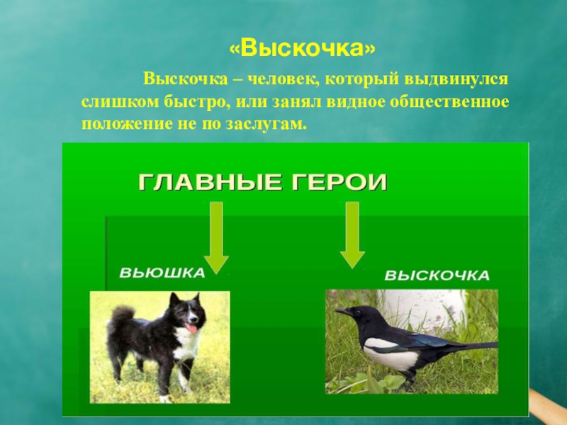 В какое время года происходили события выскочка. Выскочка. Пришвин выскочка презентация. Выскочка человек. Выскочка пришвин план.