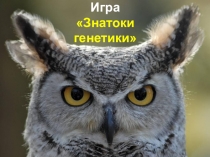 Обобщающий урок по биологии на тему Знатоки генетики (9 класс)