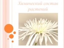 Презентация к исследовательскому проекту Химический состав растений