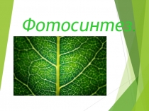 Презентация по предмету Биология на тему Фотосинтез
