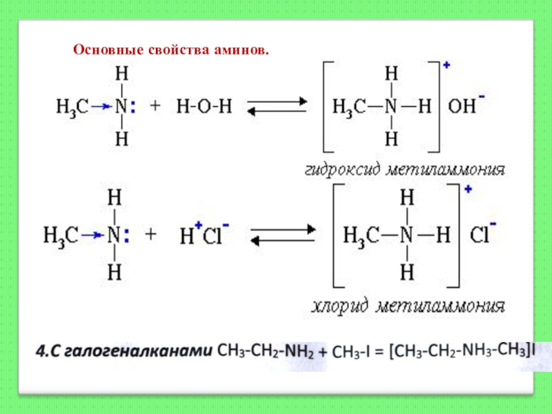 Амины проявляют основные. Основные свойства Аминов. Химические свойства первичных Аминов. Основные свойства Амино. Основные свойства ами.