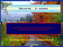 Презентация Қылқан жапырақты өсімдіктер