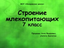 Презентация к уроку Класс Млекопитающие