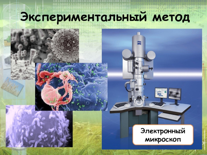 Презентация по биологии методы биологии - 83 фото