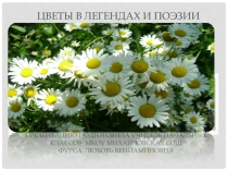 Презентация к внеклассному мероприятию Цветы в легендах и поэзии