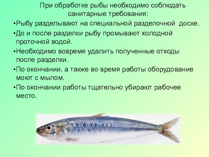 Какие мужчины нужны рыбам. Требования к обработке рыбы. Санитарная обработка рыбы. Виды обработки рыбы. Санитарные требования к обработке рыбы.