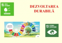 Презентация по румынскому языку на тему Устойчивого развития