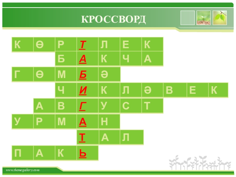 Рабит батулла презентация