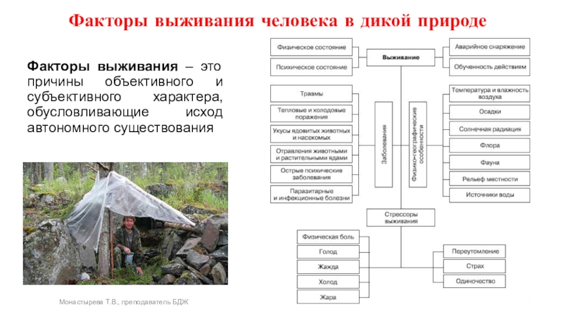 Проблема выживания человечества