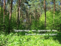 Открытый урок обж 7 класс по теме: Профилактика лесных и торфяных пожаров