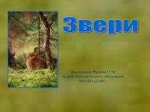 Как звери запасаютя на зиму занятия объединения Наш край