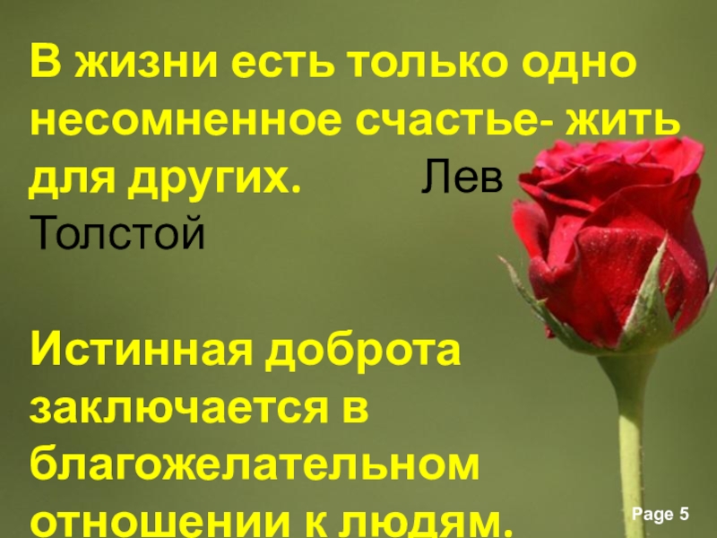 несомненная удача. в жизни есть только одно несомненное счастье жить для других эссе. несомненная удача. толстой в жизни есть одно несомненное счастье жить для другого. несомненная удача.