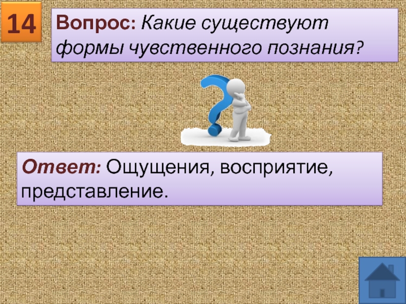 Вопросы по обществознанию 8 класс. Викторина по обществознанию. Викторина по обществознанию 6 класс. Обществознание викторина. Вопросы на тему Обществознание.