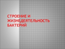 Презентация по биологии на тему : Бактерии (5 класс)