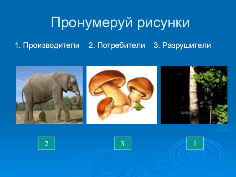 Разрушители. Производители потребители Разрушители. Потребитель и производитель. Производители потребители разлагатели. Производители потребители Разрушители 3 класс окружающий мир.