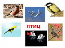 Презентация по окружаюшему миру на тему Кто такие птицы