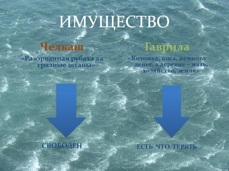 Характеристика гаврилы. Челкаш имущество. Челкаш презентация. Портрет челкаша и Гаврилы. Имущество челкаша и Гаврилы.