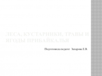 Леса Сибири