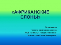 Презентация по кружковой работе Африканские слоны